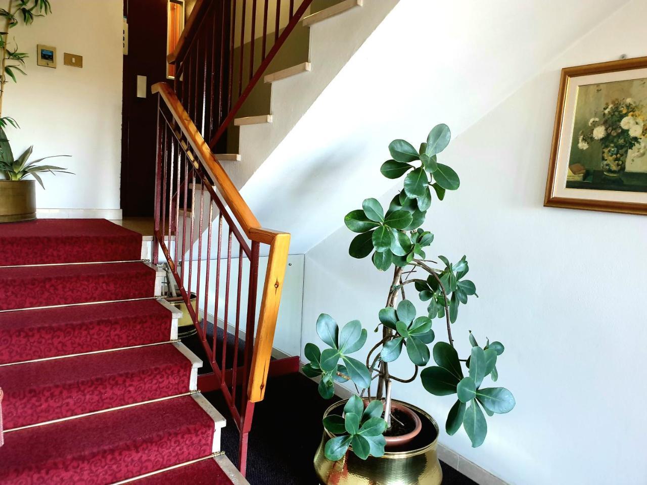 Hotel Paradiso Altedo Zewnętrze zdjęcie